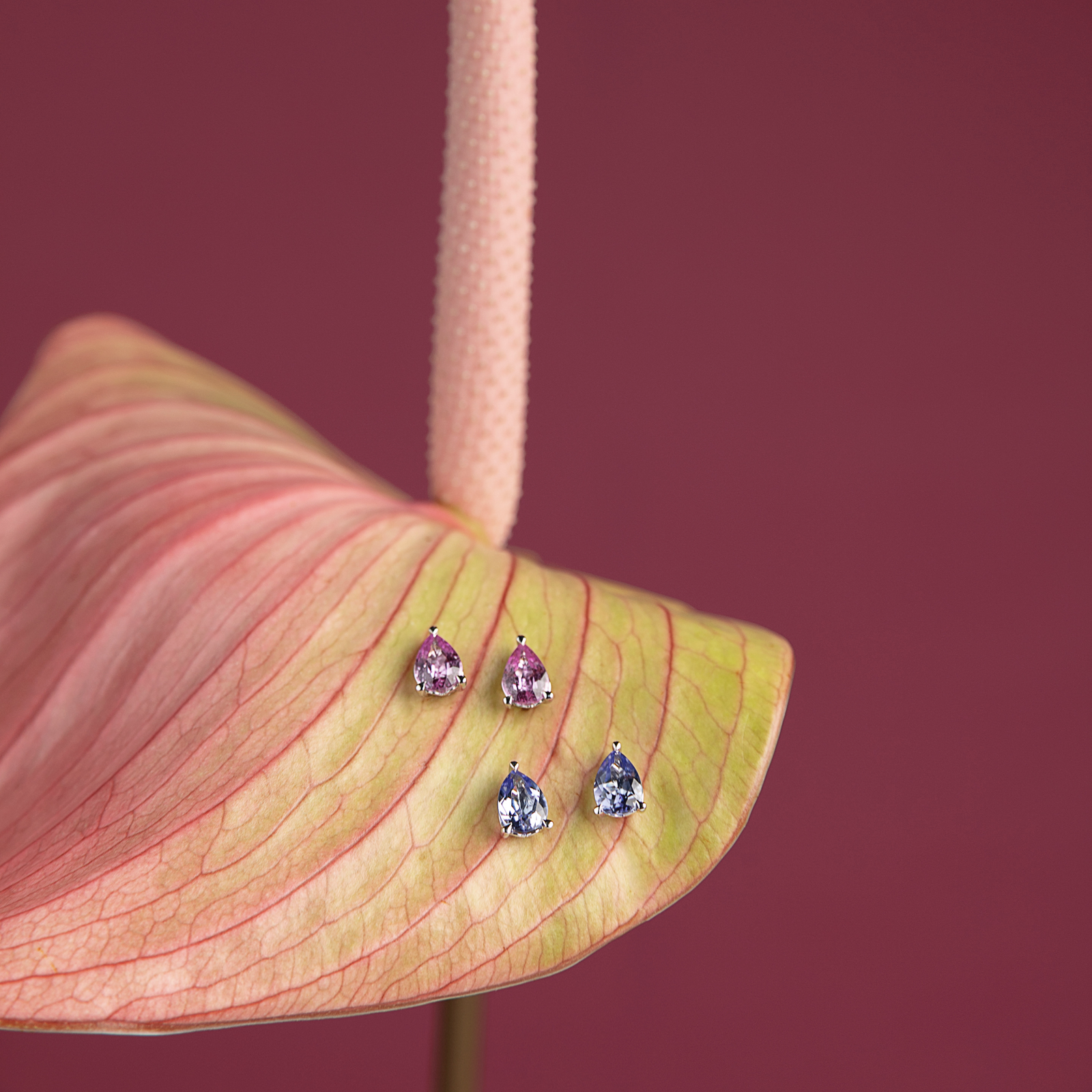 Tanzanite Pear Stud